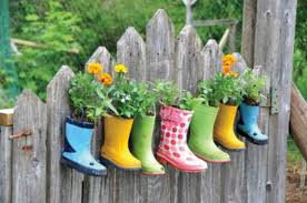 Plants In Wellie Boots 3